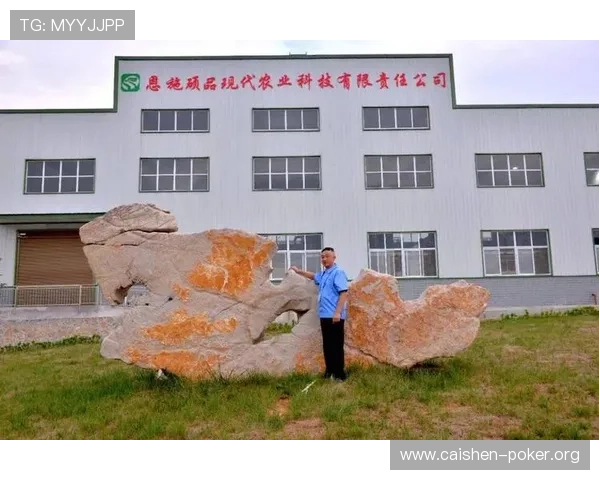 澳门汇彩集团的企业文化与社会责任实践对行业发展的积极影响
